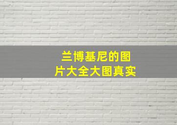 兰博基尼的图片大全大图真实