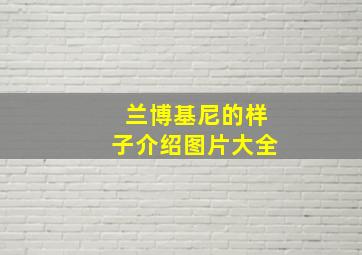 兰博基尼的样子介绍图片大全