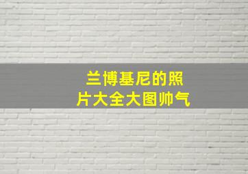 兰博基尼的照片大全大图帅气