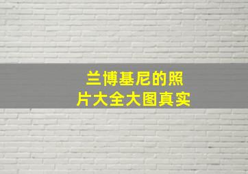 兰博基尼的照片大全大图真实