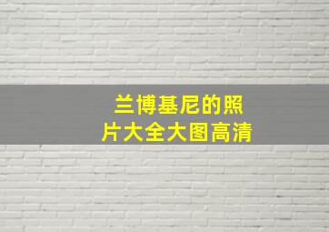 兰博基尼的照片大全大图高清