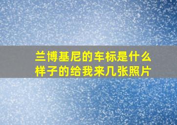 兰博基尼的车标是什么样子的给我来几张照片