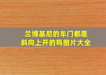 兰博基尼的车门都是斜向上开的吗图片大全