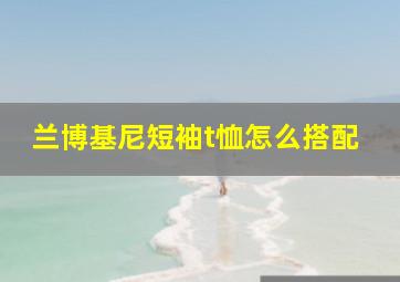 兰博基尼短袖t恤怎么搭配