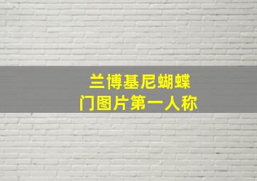 兰博基尼蝴蝶门图片第一人称