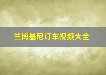 兰博基尼订车视频大全