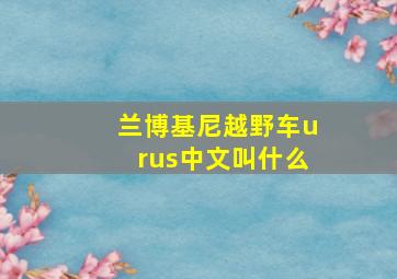 兰博基尼越野车urus中文叫什么