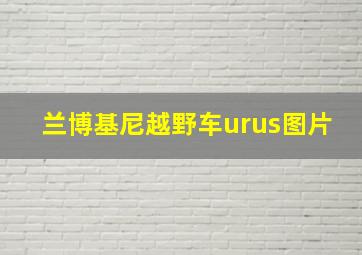 兰博基尼越野车urus图片