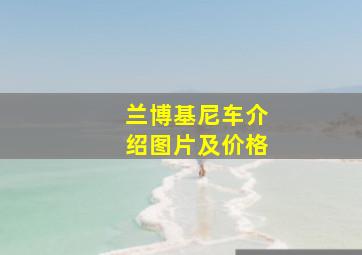 兰博基尼车介绍图片及价格