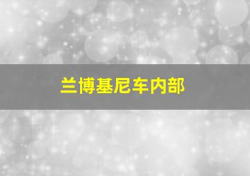 兰博基尼车内部