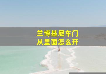 兰博基尼车门从里面怎么开