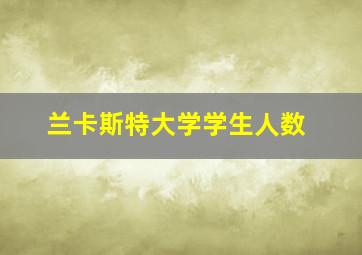 兰卡斯特大学学生人数