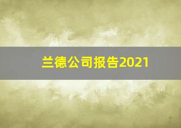 兰德公司报告2021