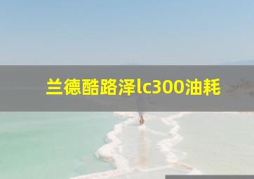 兰德酷路泽lc300油耗