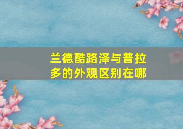 兰德酷路泽与普拉多的外观区别在哪