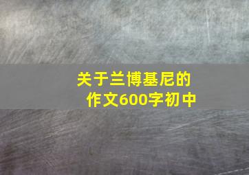 关于兰博基尼的作文600字初中