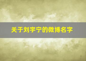 关于刘宇宁的微博名字