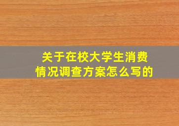 关于在校大学生消费情况调查方案怎么写的