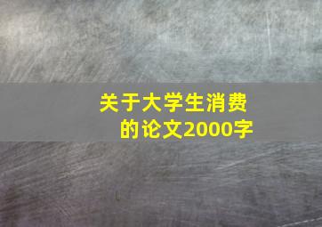 关于大学生消费的论文2000字