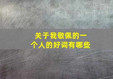 关于我敬佩的一个人的好词有哪些