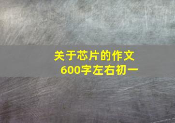 关于芯片的作文600字左右初一