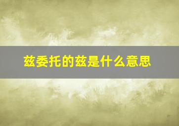 兹委托的兹是什么意思