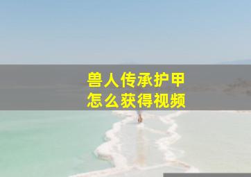 兽人传承护甲怎么获得视频