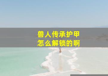 兽人传承护甲怎么解锁的啊