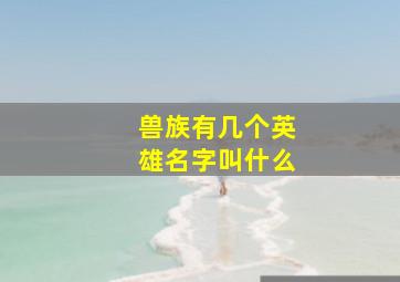 兽族有几个英雄名字叫什么