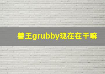 兽王grubby现在在干嘛