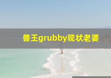 兽王grubby现状老婆