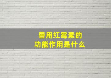 兽用红霉素的功能作用是什么