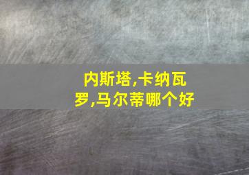 内斯塔,卡纳瓦罗,马尔蒂哪个好