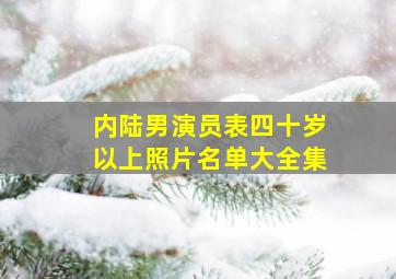 内陆男演员表四十岁以上照片名单大全集