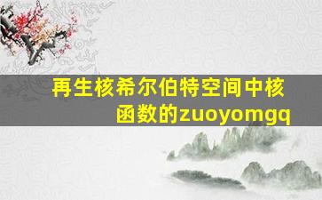 再生核希尔伯特空间中核函数的zuoyomgq