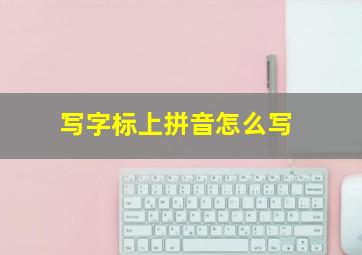 写字标上拼音怎么写