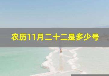 农历11月二十二是多少号