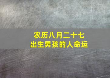 农历八月二十七出生男孩的人命运