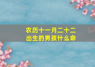 农历十一月二十二出生的男孩什么命