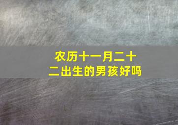 农历十一月二十二出生的男孩好吗