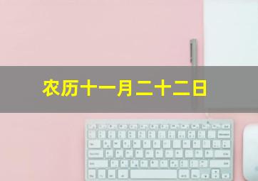 农历十一月二十二日