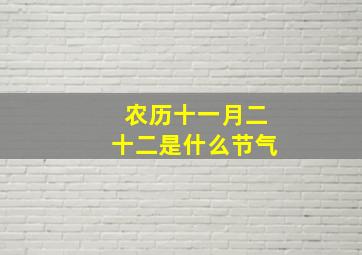 农历十一月二十二是什么节气