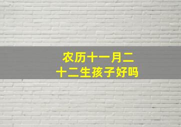 农历十一月二十二生孩子好吗