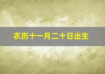 农历十一月二十日出生