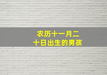 农历十一月二十日出生的男孩