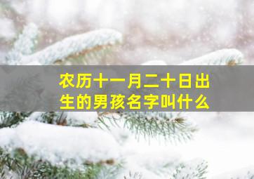 农历十一月二十日出生的男孩名字叫什么