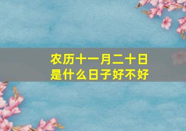 农历十一月二十日是什么日子好不好