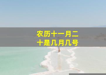 农历十一月二十是几月几号