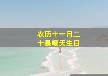 农历十一月二十是哪天生日