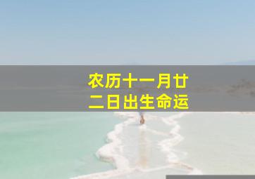 农历十一月廿二日出生命运